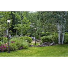 Z-Lite 5016PHBR-519P Davina 4 Light 120" Tall Post Light - Black