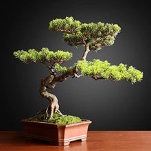 Fake Plants Artificial Bonsai Tree Faux Tree Bonsai Pine Tree Bonsai with Red Ceramic Pot Indoor Decoration House Plant for Desktop Home Decor Bonsai Tree