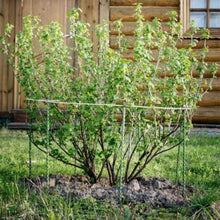 Garden Stakes - 5Ft Coated Fiberglass Plant Stakes - Quantity Options (200)