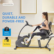 LifeSpan Fitness R5i Recumbent Stationary Bike Black