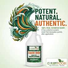 GS Plant Foods Liquid Kelp Fertilizer – Suitable for Organic Growing, OMRI Listed Seaweed Concentrate for Lawns, Gardens & Soil - 275 Gallons