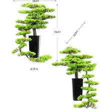 DUYHBAWRS Hotel Sample Room Creative Welcome Pine Bonsai Home Living Room Porch Bonsai Decoration