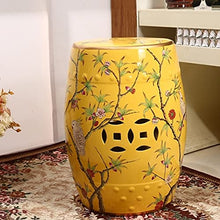 ECOLFE Garden Stool, Flower and Bird Ceramic Drum Stool，Garden Decorative Stool, Suitable for Garden, Patio, Lawn,Home Indoor & Outdoor