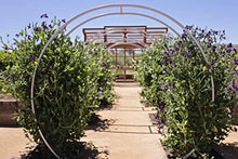 TERRA TRELLIS Gracie Modern Arbor Moongate for Outdoor Plants | Garden Arch Climbing Vines Trellis | Modern, Steel & Durable Metal Round | Regular (Azul/Blue)