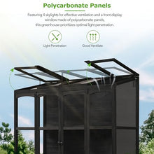 ANTSKU Wood Greenhouses for Outdoors, Cold Frame Greenhouse with 4 Independent Skylights & 2 Folding Middle Shelves, Large Walk in Lean to Green House for Backyard, Garden, 58" L x 29" W x78 H, Black