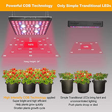 JINHH 2000 Watt LED Grow Light Full Spectrum IR COB Series Plant Grow Lamp with Daisy Chain Veg and Bloom Switch for Hydroponic Greenhouse Indoor Plant Veg and Flower