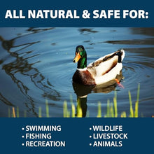 Airmax MuckAway Bacteria Enzyme Tablets for Ponds & Lakes, 48 Scoops