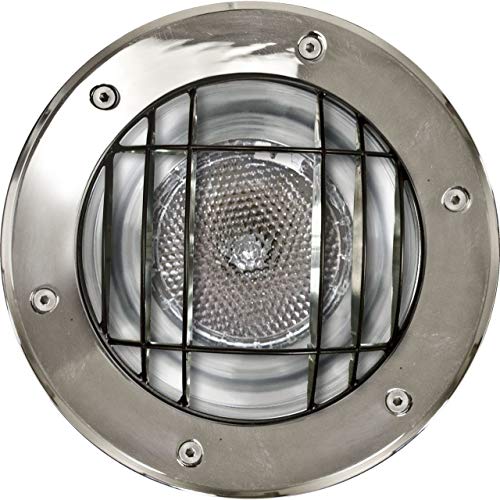 Dabmar Lighting DW1200-GRL SS Well Light with Grill Par-20,30,38 120V, Stainless Steel Finish