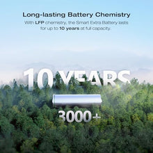 EF ECOFLOW DELTA 2 Max Power Station Extra Battery, 2048Wh LiFePO4 Battery