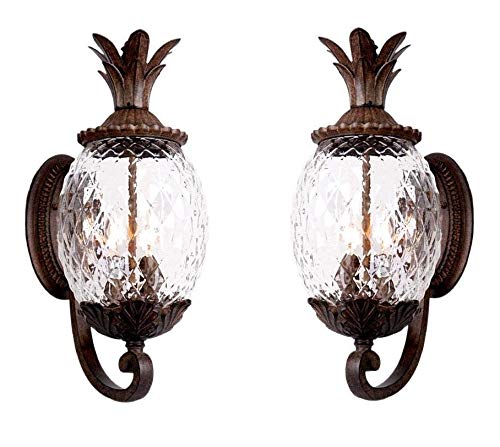 Acclaim 7511BC Lanai Collection 3 Wall Mount Outdoor Light Fixture (Black Coral-2 Pack), 2 Count