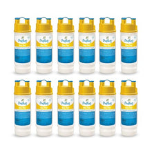 Pool FROG Bac Pac Replacement Chlorine Cartridges, 12 Pack