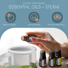 LifePro Revivify Portable Steam Sauna Box for Home