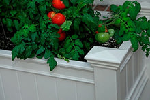 Urbanscape 36"W x 24"L Vinyl Inverted Tomato Planter