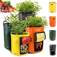 Potato Growth Bag Vegetable Onion Cultivation Fabric Bags Garden Seedling Growing Bag Farm Garden Tool (Color : Green Size : 7 Gallon) (Green 12 Gallon)