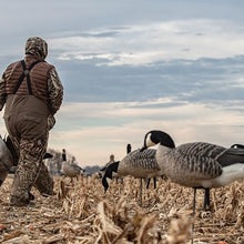 Avian-X AXP Honkers Fusion Pack Lesser Canada Goose Decoys Set of 18 Brown and White