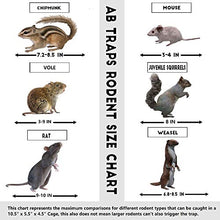 AB Traps Quality Live Animal Humane Trap for Rats, Mice, and Rodents - Small 10.5" x 5.5" x 4.5" 100-Pack