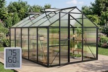 8x10 FT Greenhouse with Hygrometer, Windproof Warm Plant Green Houses