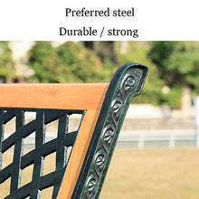 ELUKHT Garden Terrace Park Bench, Recreational Bench with mesh Pattern backrest and armrests, Solid Wood Seats and cast Iron Frame Garden Furniture (Combination 2)