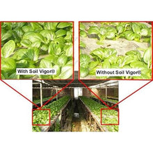 Improve Your Lawn and Garden with Soil Vigor for Long-Term Hydration and Nourishment! (20 Pounds)