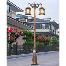 iumLeap 112Inch 2-Head Outdoor Lamp Post Light Apillar Post Light Garden Path Pillar Lamp Ip65 Waterproof Street Light Glass Lantern Courtyard Bollard Path Lamp Pathlighting (Bronze-88inch)