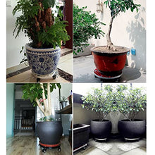 QUANGJN Plant Caddy with Wheels Heavy Duty,440Lb Capacity, Rolling Plant Stand, Planter Caddies Round Large Flower Pot Mover Plant Dolly Holder Planter Trolley Cas,Grey-59cm/23in