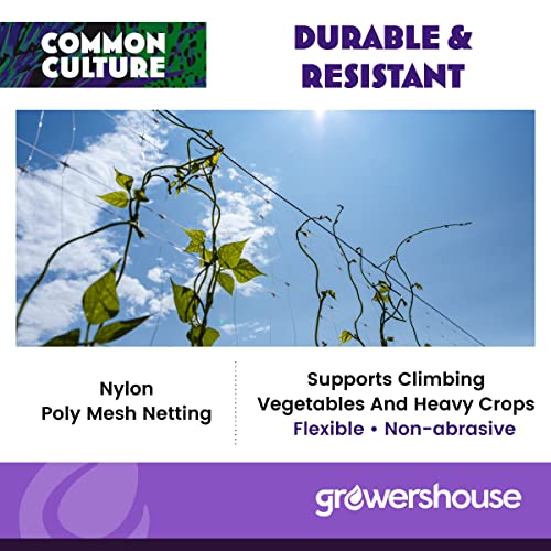 COMMON CULTURE Professional Grade Trellis Netting Bulk Roll 6.5ft x 4920ft Heavy Duty Scrog Net