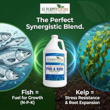 GS Plant Foods Liquid Fish & Kelp Fertilizer (275 Gallons) – Organic Material Review Institute Listed Natural Plant Food for Home Gardens, and Vegetables
