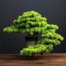 YXIANG56Q Fake Plants Indoor Fake Tree Potted Plant Ornaments Desktop Jewelry Entrance Decoration Simulation Tree Decoration High-Grade Artificial Bonsai Bonsai Tree