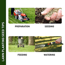 Hancock's Centipede Grass Seed - Coated - 25 lbs.