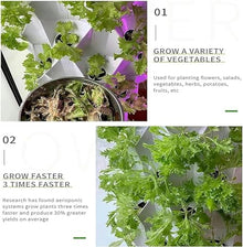 RWGOVLU Hydroponic Growing Kits 80 Holes Vertical Hydroponics Tower Automated Aeroponics, Indoor Garden Food-Grade PVC-U Pipes Hydroponic Planting Equipment with Pump, Ideal Gardening Gift
