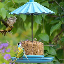 ZYBB Wild Bird Feeder for Outdoor Hanging for Garden Yard，Easy to Clean Hummingbird Feeder(Color:B)