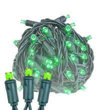 Novelty Lights 12-Pack, 50 Feet 100 LED Green Christmas Mini Light String on Green Wire, 5mm Wide Angle Bulbs, Connectable, Indoor/Outdoor Decor, UL Listed