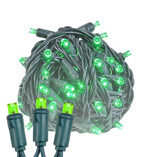 Novelty Lights 12-Pack, 50 Feet 100 LED Green Christmas Mini Light String on Green Wire, 5mm Wide Angle Bulbs, Connectable, Indoor/Outdoor Decor, UL Listed