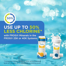 Pool FROG Bac Pac Replacement Chlorine Cartridges, 12 Pack