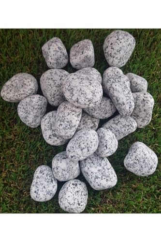 SODEF River Pebbles 20 Kg Bag 2-4 Cm Gravel Stones for Landscaping, Aquariums, Terrariums, and Garden Decoration - Gray - Gray