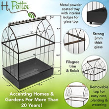 H Potter Extra Large Glass Terrarium Wardian Case, 22.6 Inch Tall