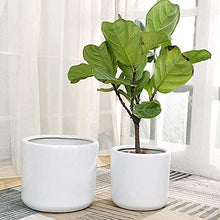 FAFACAI Home Round Shape Ceramic Flower Pot Modern Living Room Courtyard Large Plant Pot Green Plants Floor-to-Ceiling Household Planter Office Decorative Ornaments (Green 33cm)