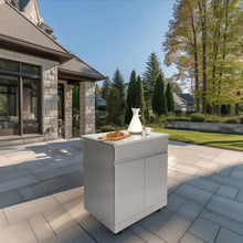 Transolid OUC3224 Outdoor Kitchen 32-in x 24-in x 37-in Single Utility Cabinet, Stainless Steel