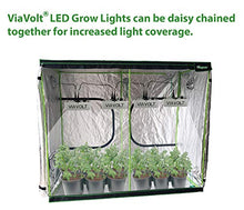 Viavolt Grow Light, 6500K Full Spectrum, Cree COB LED, 65 Watts,12,000 Lumens
