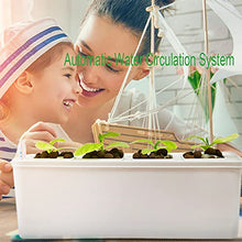Home Indoor Kitchen Garden Hydroponics Growing System Smart LED Grow Light Kit for Both Outdoor & Indoor Plants & Gardening Kits for Home Kitchen