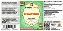 Spilanthes (Acmella oleracea) Glycerite, Dried Leaves, Flowers and Stems Alcohol-Free Liquid Extract (Brand Name: HerbalTerra) 20x4 fl.oz (20x120 ml)