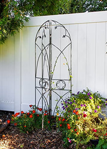 Achla Designs Wrought Iron Quatrefoil Garden Trellis