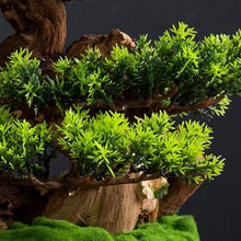 YXIANG56Q Fake Plants Indoor Fake Tree Potted Plant Ornaments Desktop Jewelry Entrance Decoration Simulation Tree Decoration High-Grade Artificial Bonsai Bonsai Tree