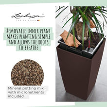 Lechuza 18193 Cubico 40 Self-Watering Planter, Scarlet Red High Gloss