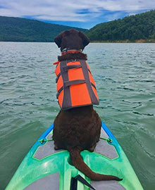 Perception Kayaks Hi Life 11 Sit on Top Kayak SUP/Paddleboard Dapper
