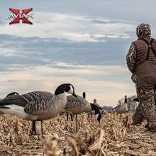 Avian-X AXF Lessers Full Body Goose Hunting Decoys 12 Pack Multicolor