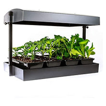 SunBlaster LED Indoor Growlight Garden, Home Growing Kit