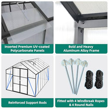 8x14 FT Greenhouse, Heavy Duty Polycarbonate Greenhouses for Outdoors with Thicken Sturdy Aluminum Frame, Large Walk-in Green House with Stakes, Ropes, Roof Vent, for Outside Garden Backyard, Black