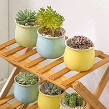 OJKJGYTF Indoor Plant Stand Foldable Design Bamboo Flower Stands 4-Tier Plant Display Stand Pot Shelf Storage Rack Outdoor Indoor Multifunctional