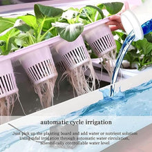 FLTRGO Indoor Garden Hydroponic Growing System,3/4 Tier Hydroponics Tower Set,Hydroponic Planter,Plant Vertical Hydroponics,Suitable for Planting Leafy Vegetables,Stem Vegetables